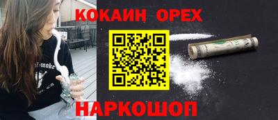 гидра Кандалакша